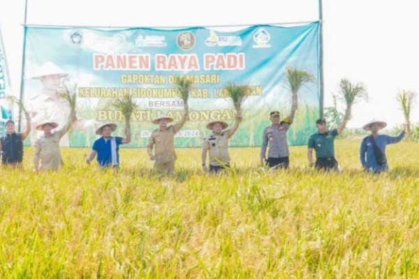 IMG-20240821-WA0000_copy_600x400