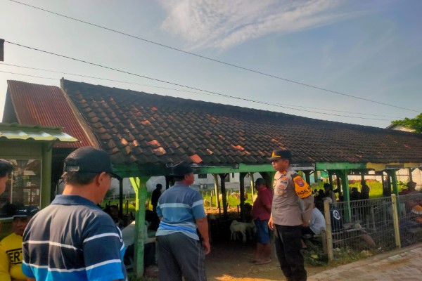 IMG-20250424-WA0054_copy_600x400