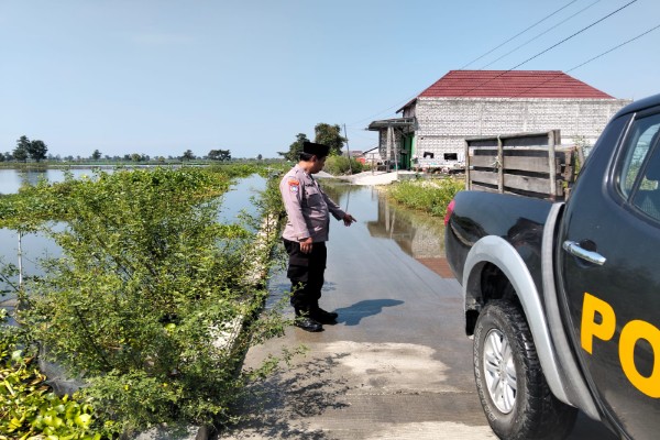 IMG-20250429-WA0030_copy_600x400