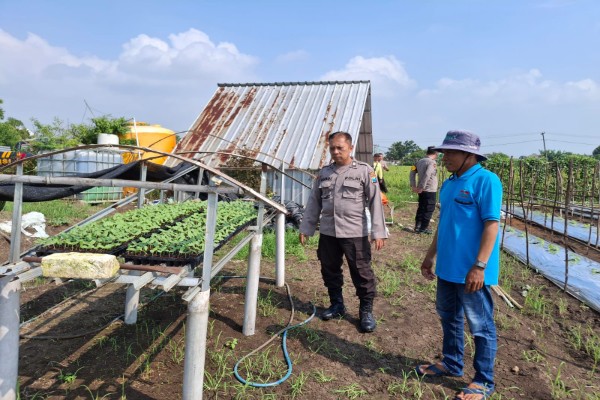 IMG-20250527-WA0012_copy_600x400