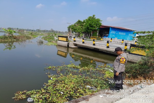 IMG-20250727-WA0023_copy_600x400