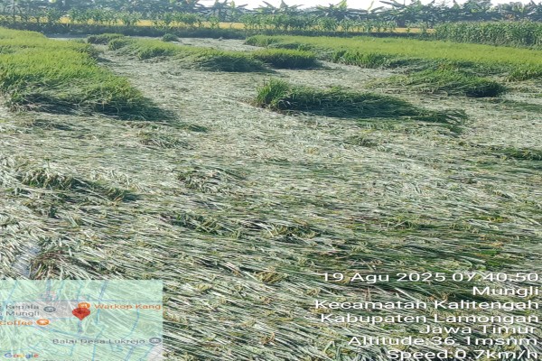 IMG-20250819-WA0076_copy_600x400