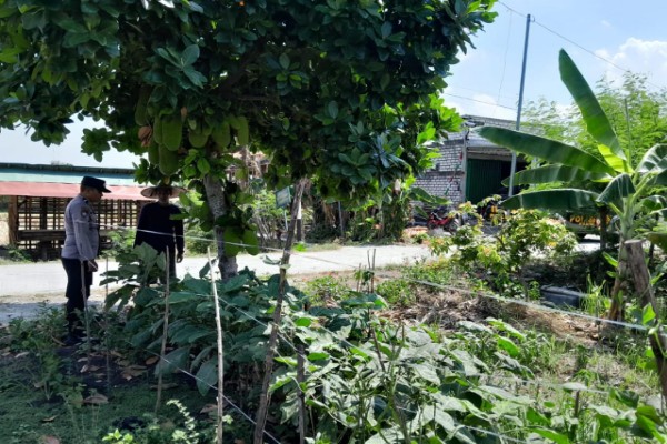 IMG-20250828-WA0038_copy_600x400