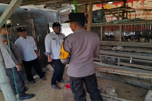 IMG-20250909-WA0028_copy_600x400