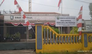 IMG-20260819-WA0014